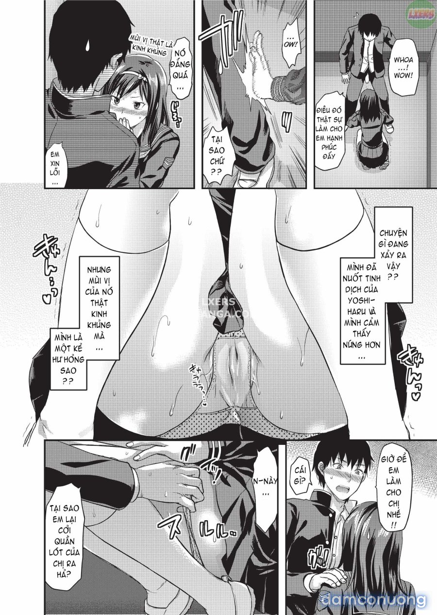 Ane Koi 