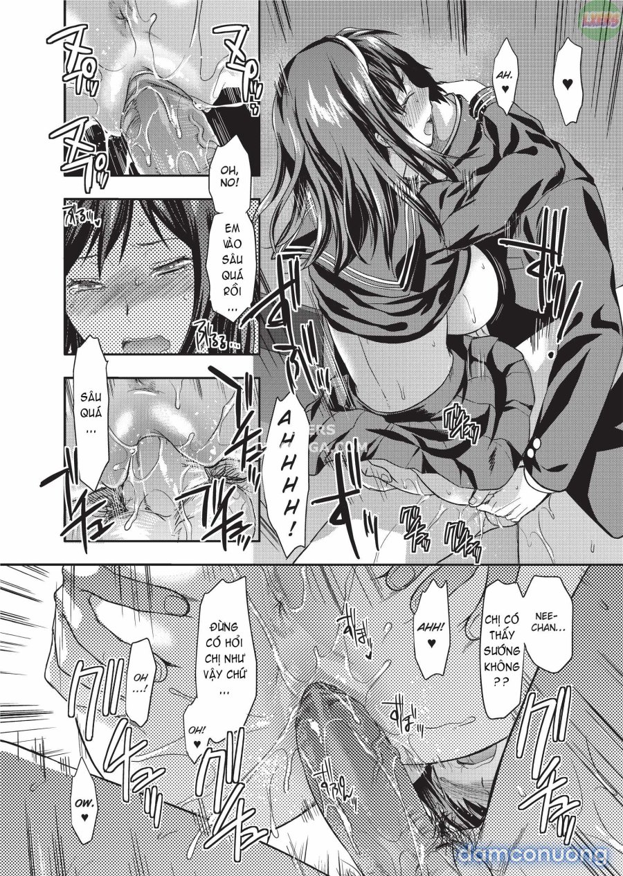 Ane Koi 