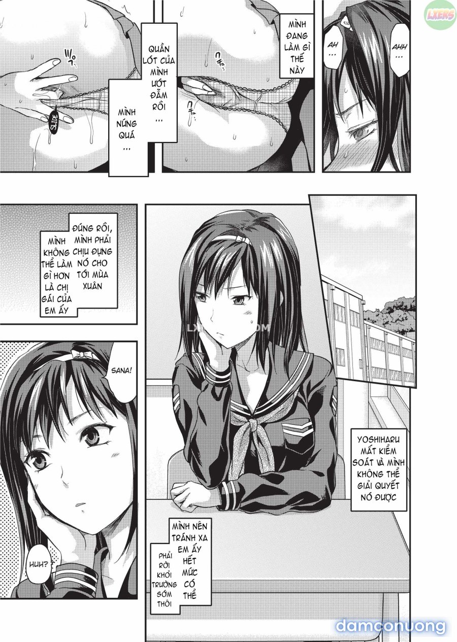 Ane Koi 