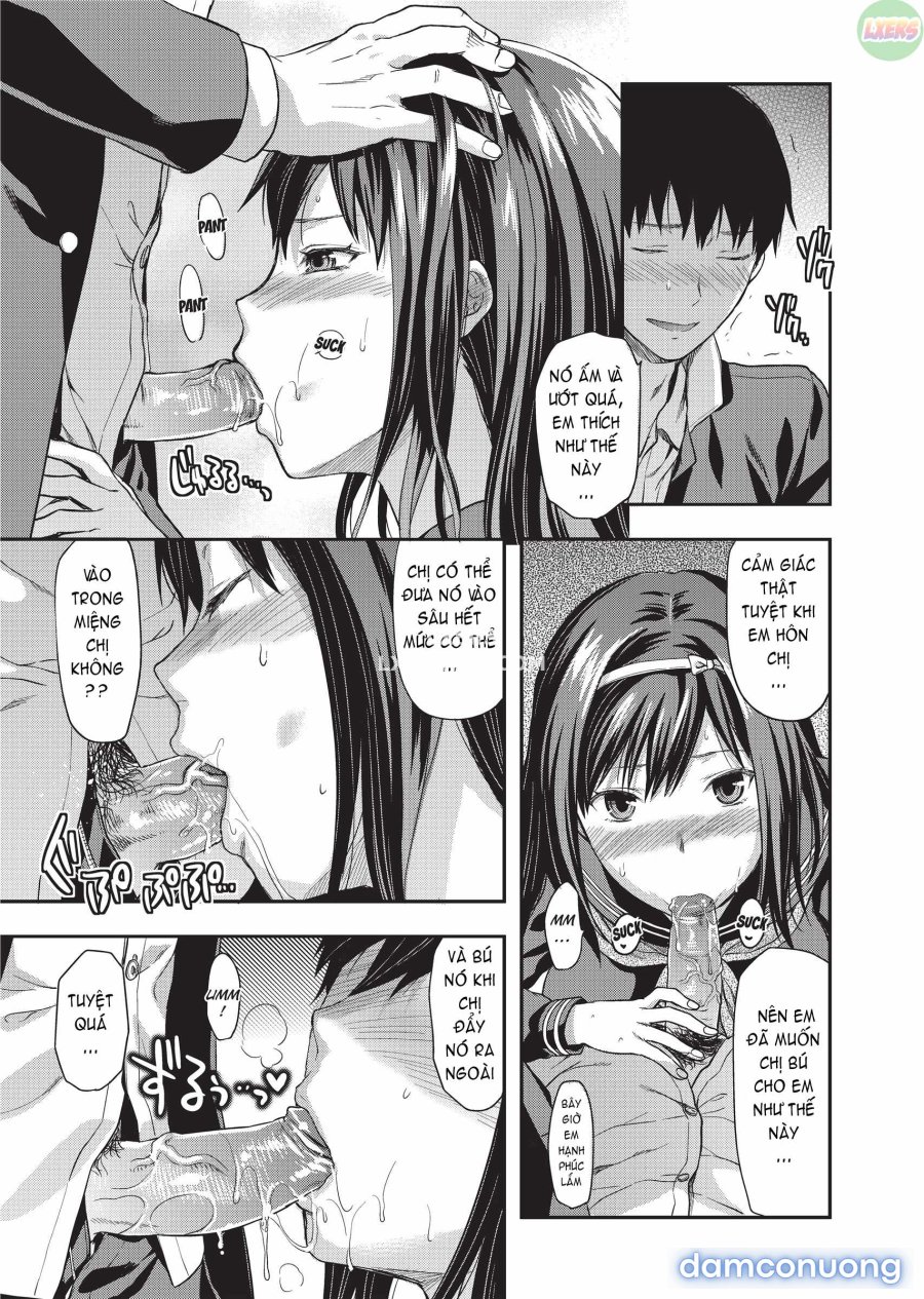 Ane Koi 