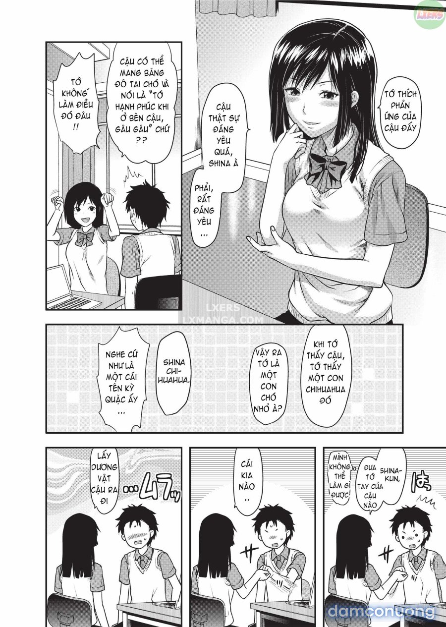 Ane Koi 
