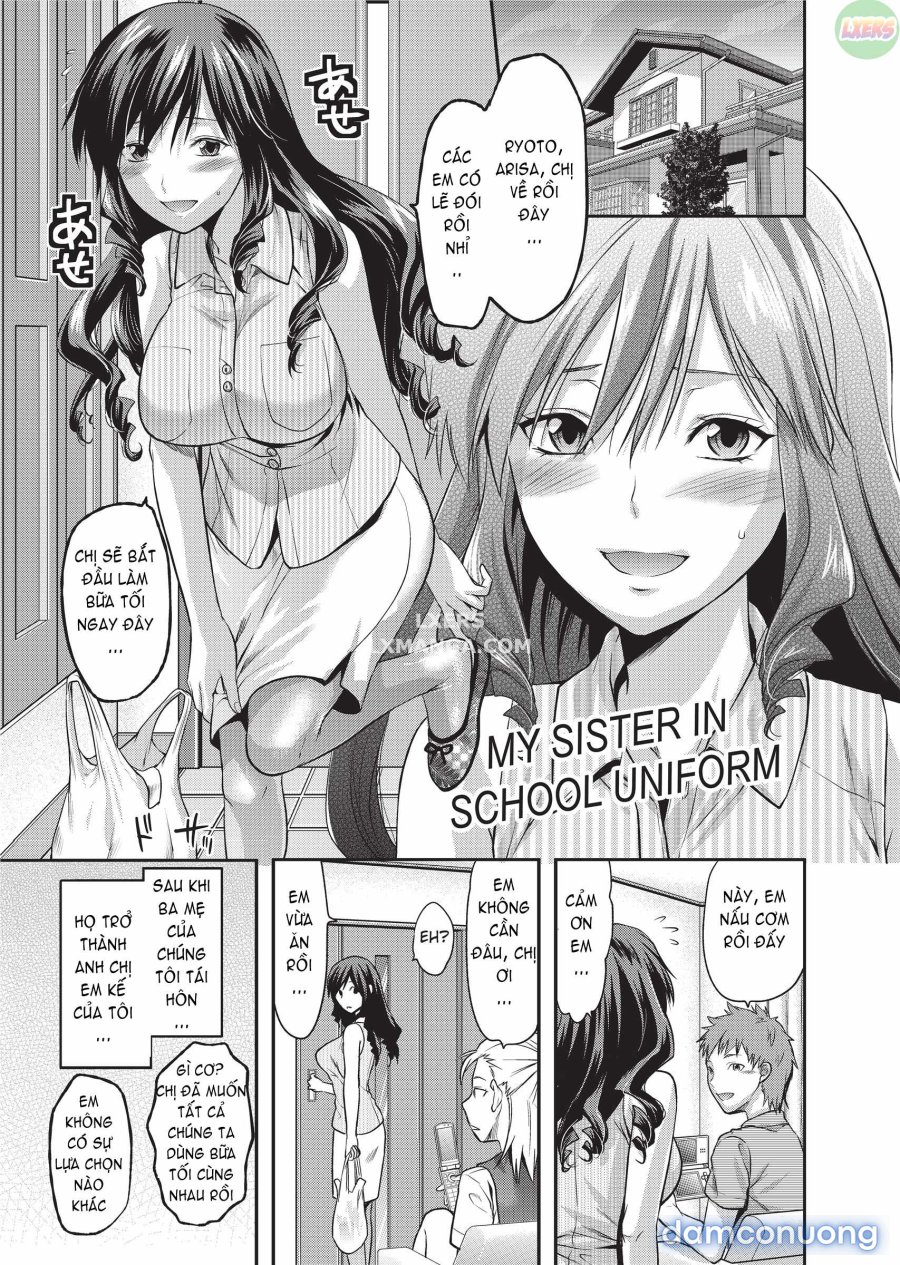 Ane Koi 