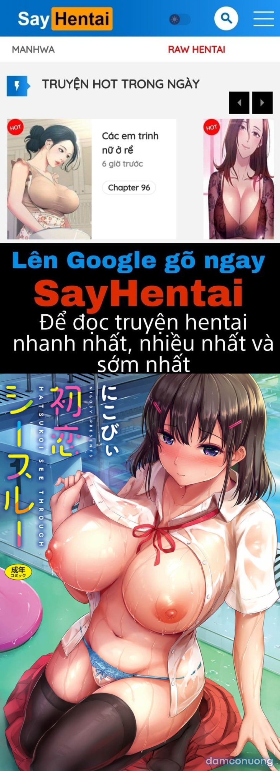 Hatsukoi See Through 