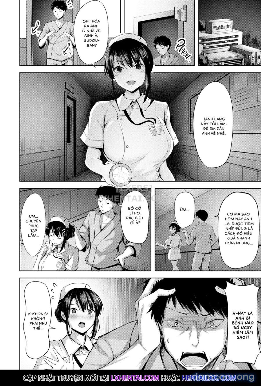 Hatsukoi See Through 