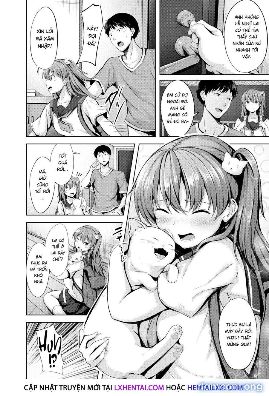 Hatsukoi See Through 