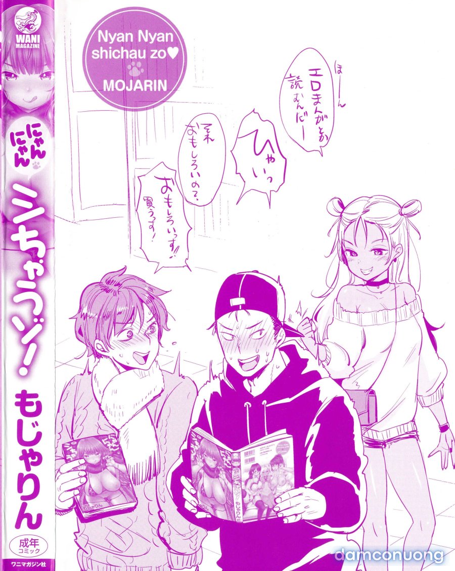 Nyan Nyan Shichau zo 