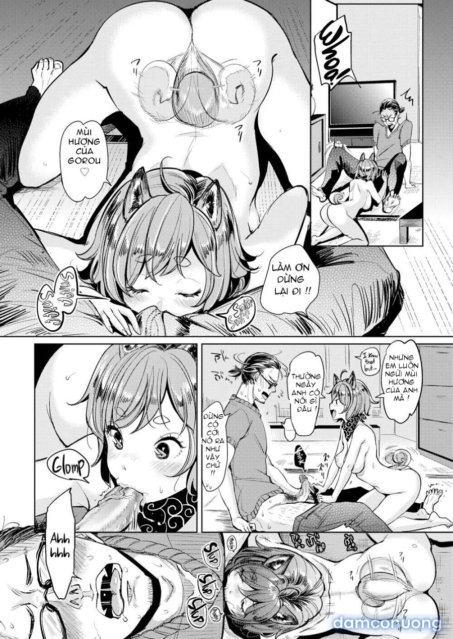 Nyan Nyan Shichau zo 