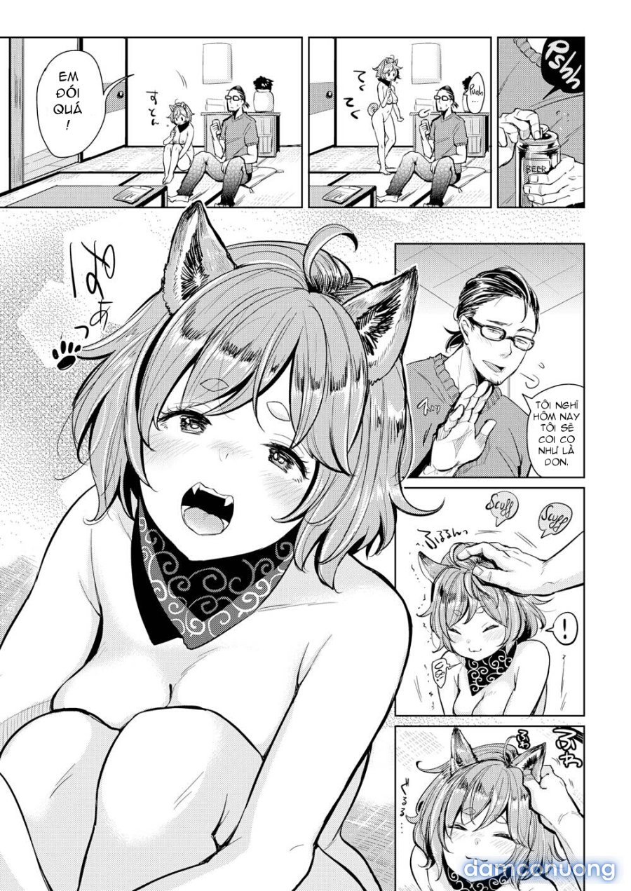 Nyan Nyan Shichau zo 