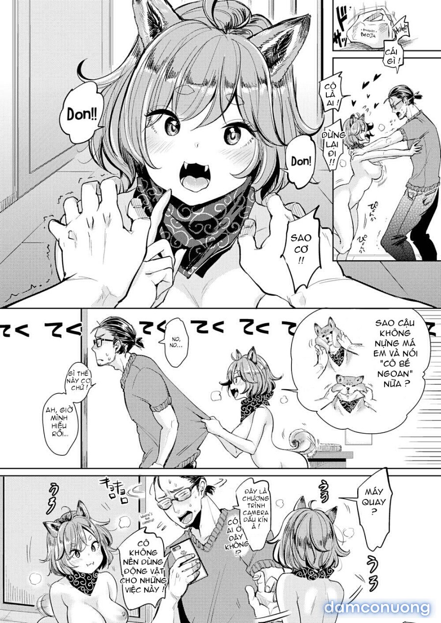 Nyan Nyan Shichau zo 