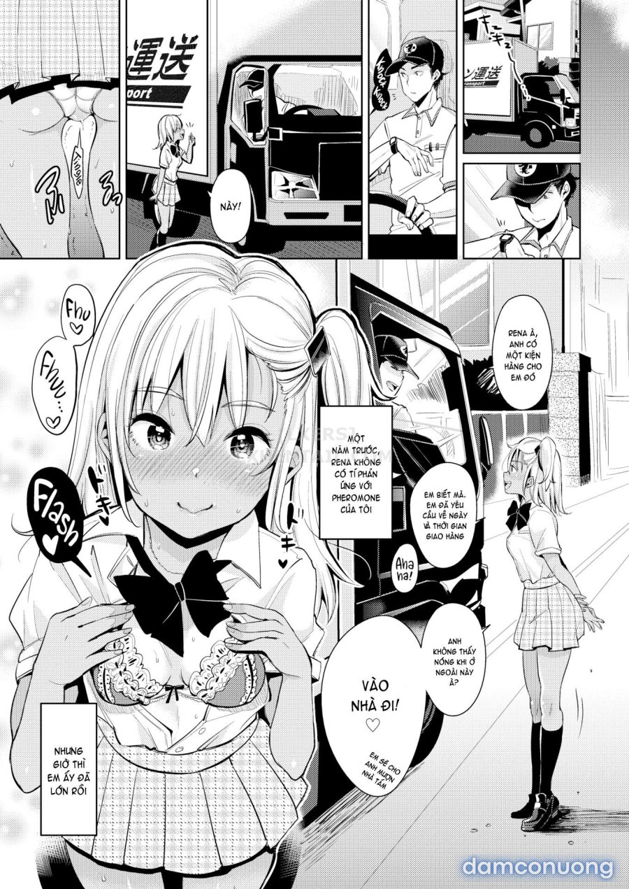 Nyan Nyan Shichau zo 