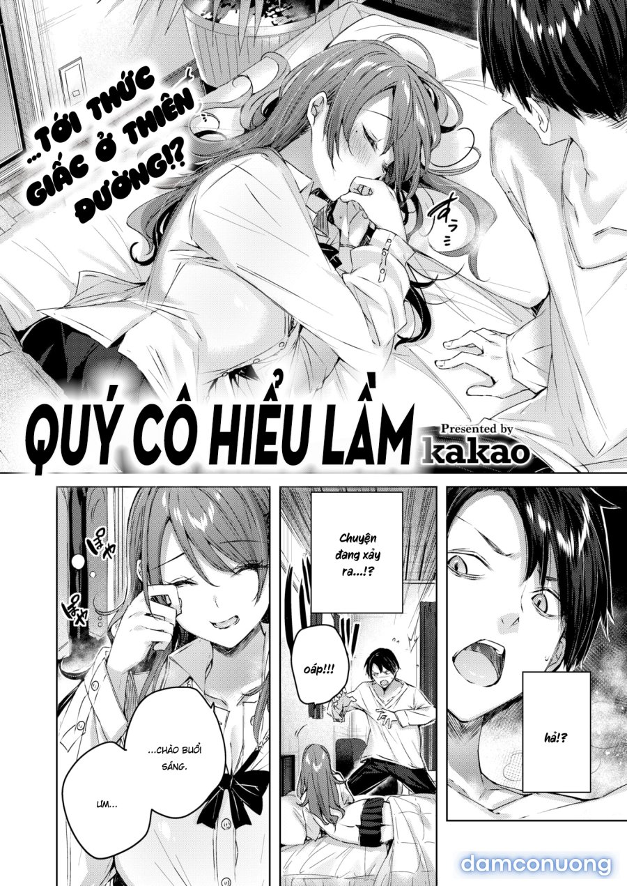 Shiko Splash 
