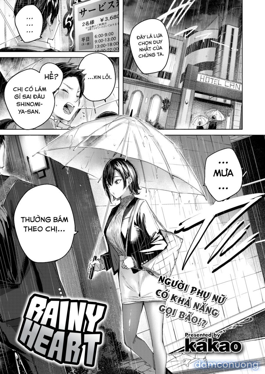 Shiko Splash 