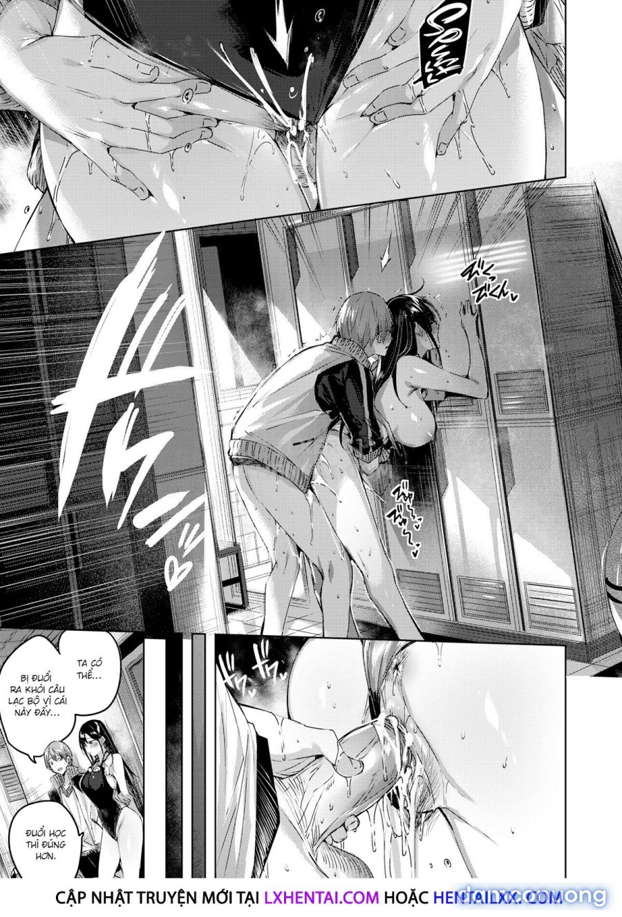 Shiko Splash 