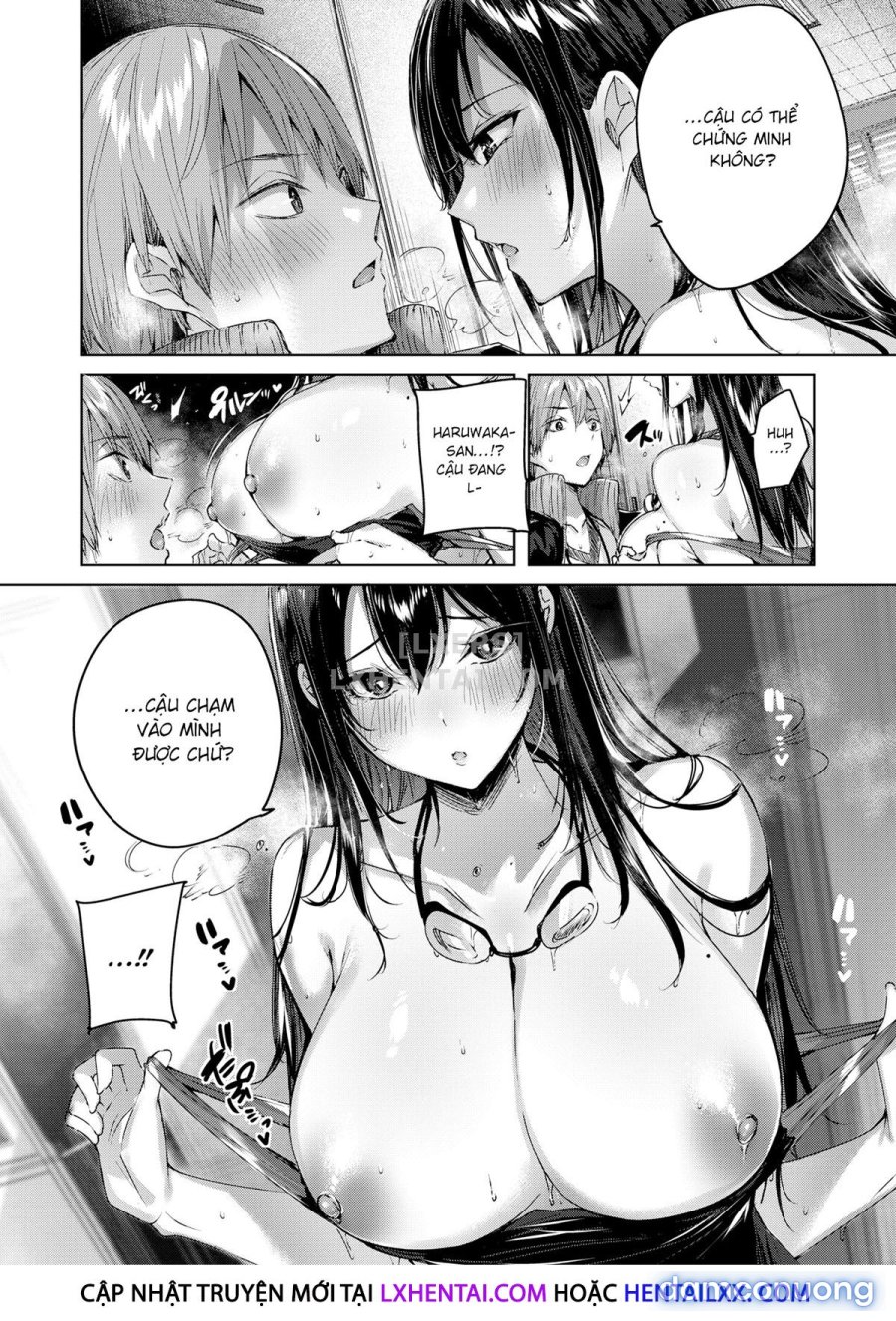 Shiko Splash 