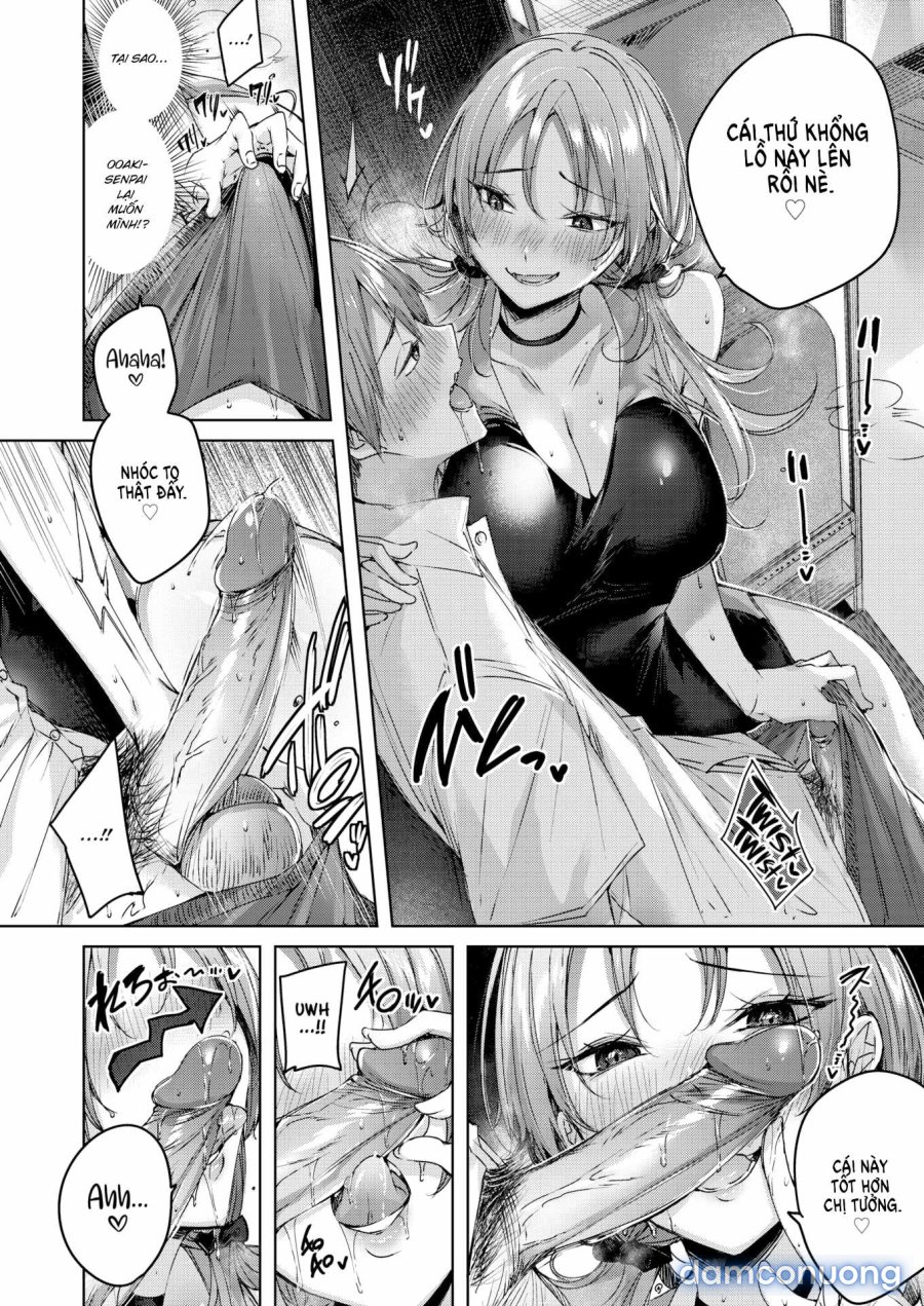 Shiko Splash 