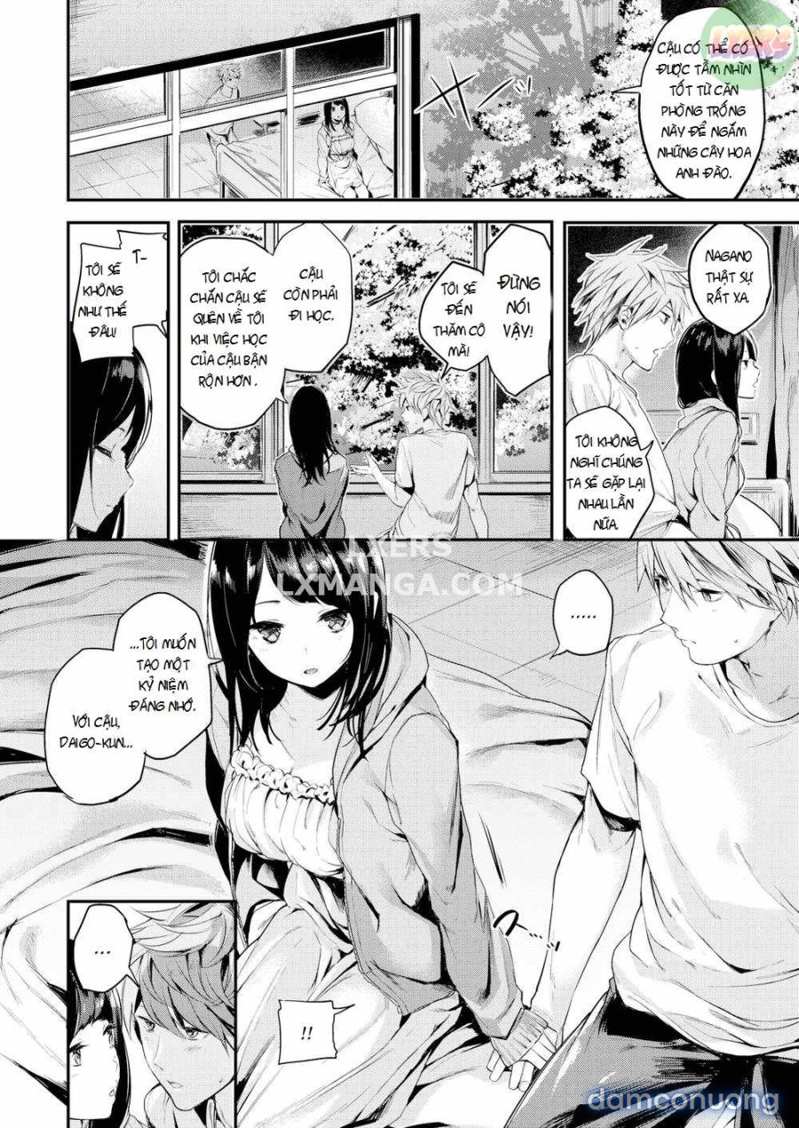 Icha Bitch 