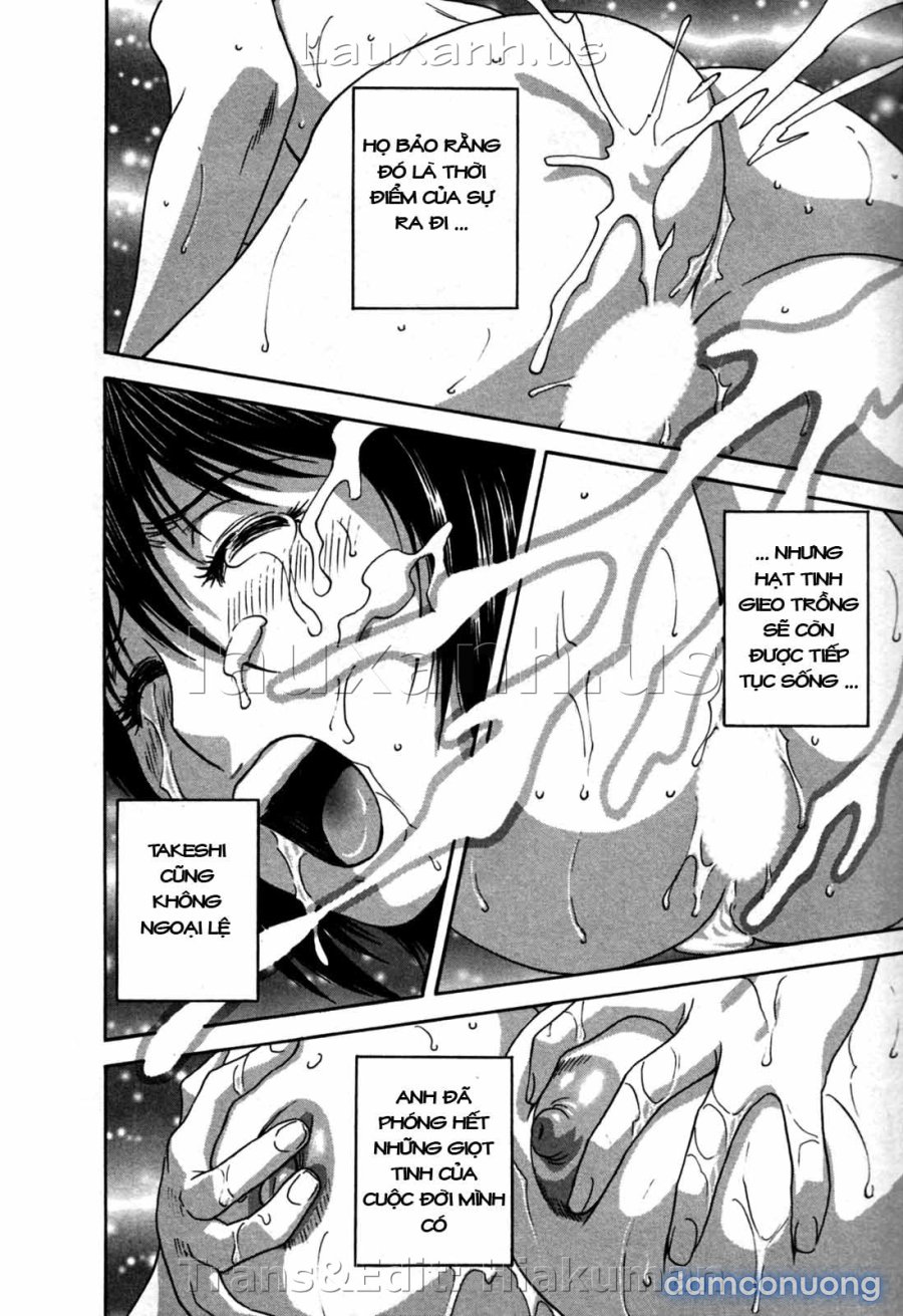 Boing Boing Onsen 