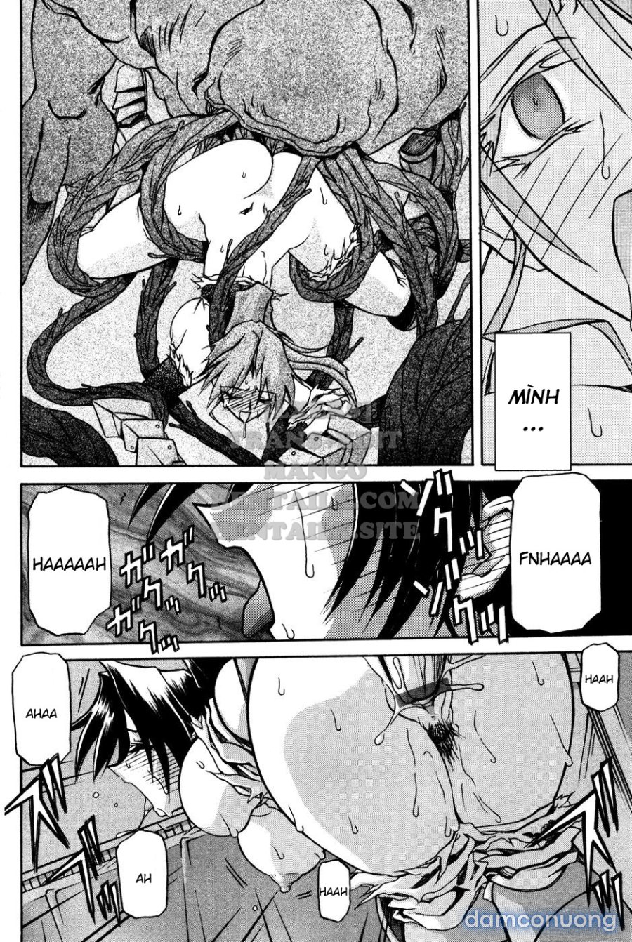 Shichisai No Lamuros 