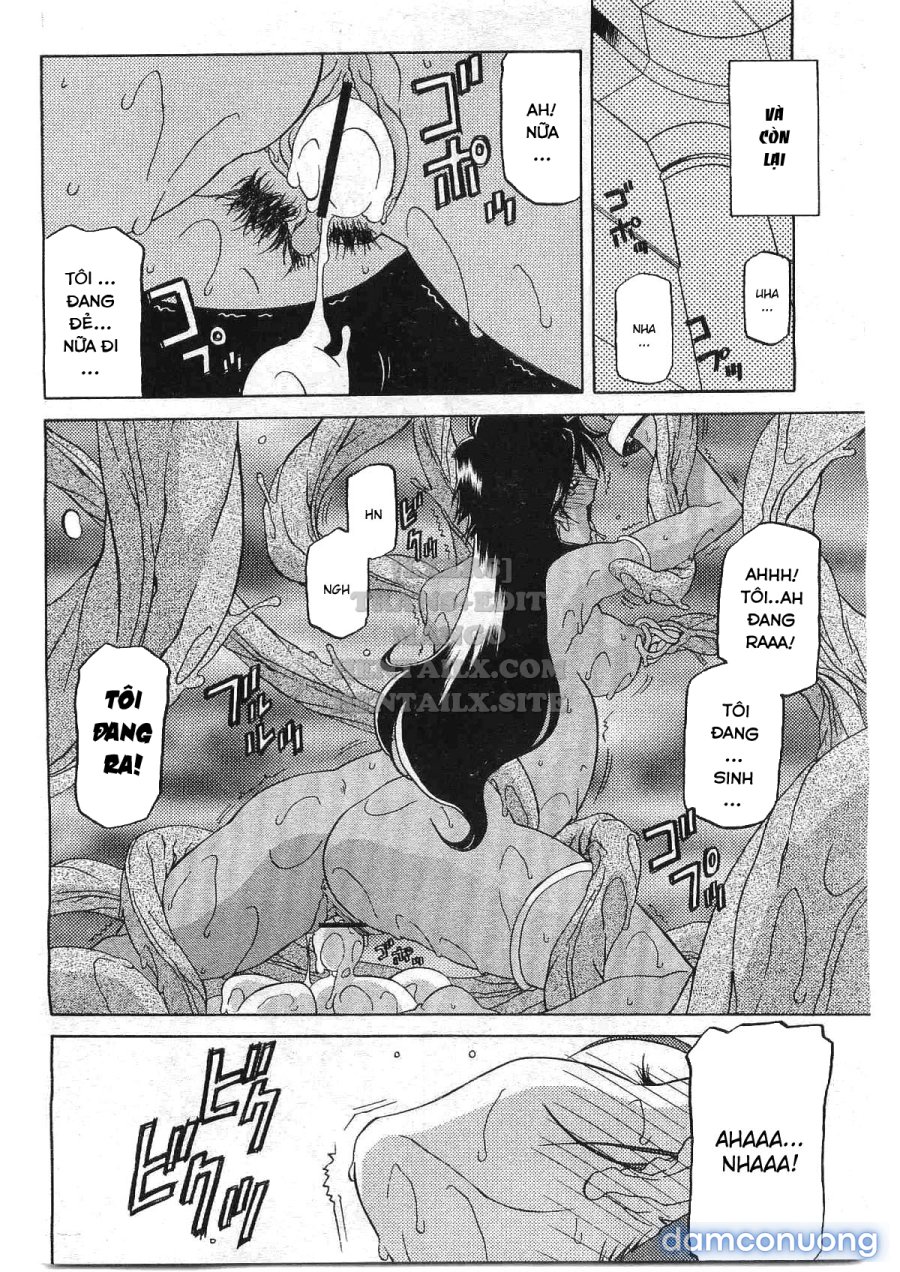 Shichisai No Lamuros 