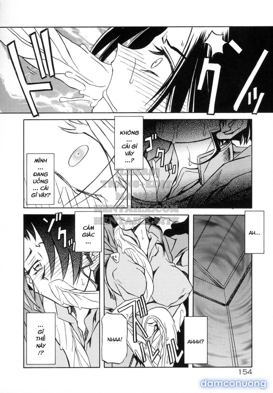 Shichisai No Lamuros 
