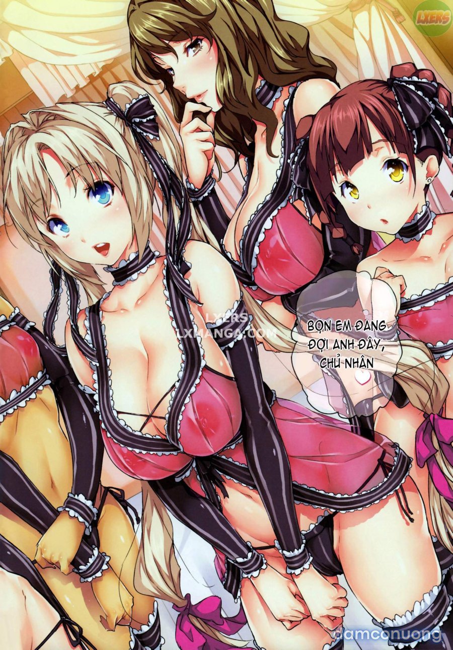 Harem Time 