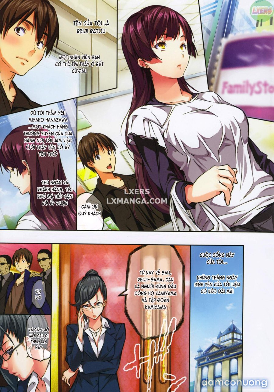 Harem Time 