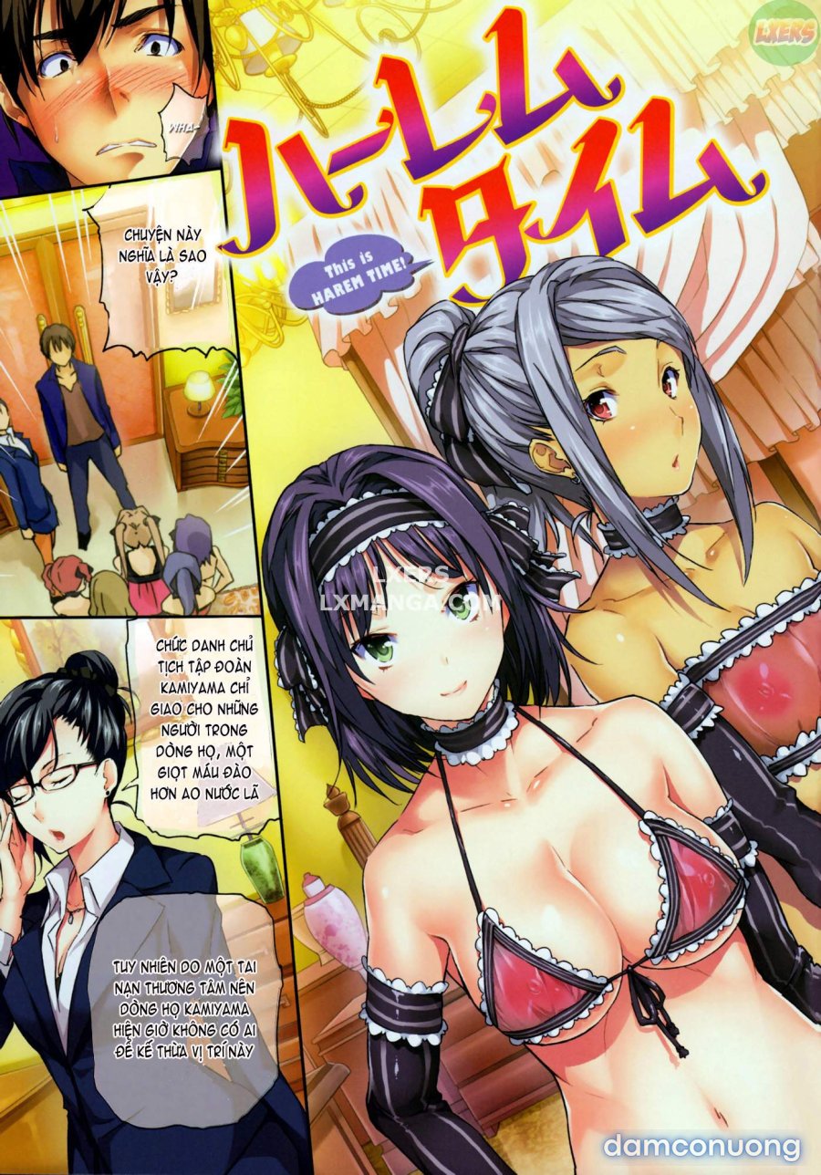 Harem Time 