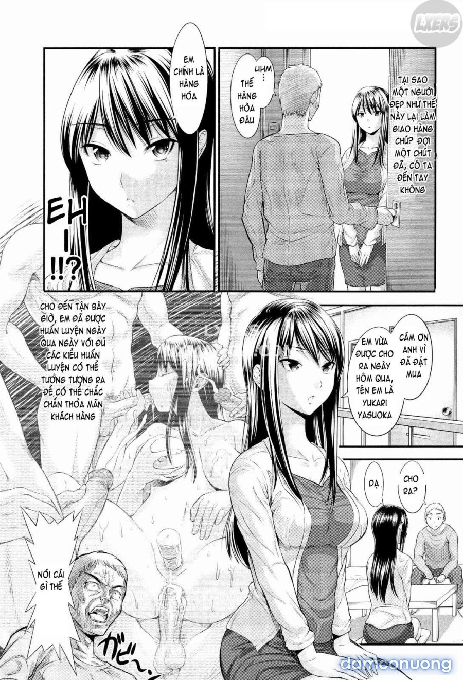 Harem Time 