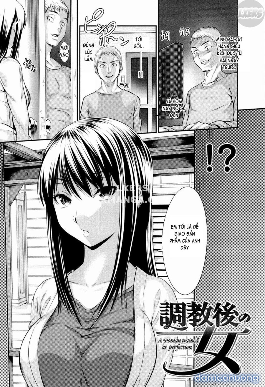 Harem Time 