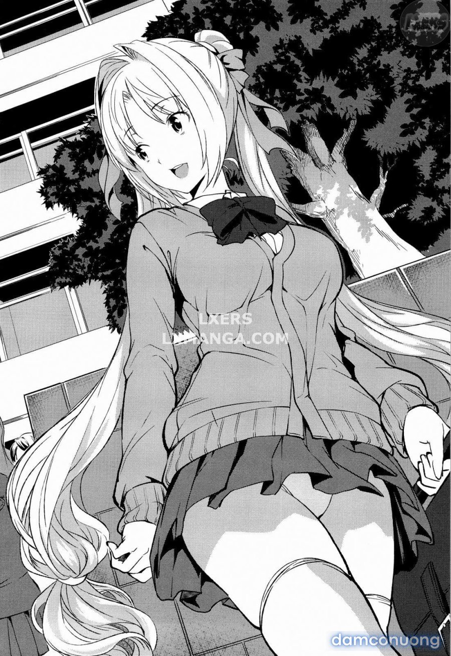 Harem Time 