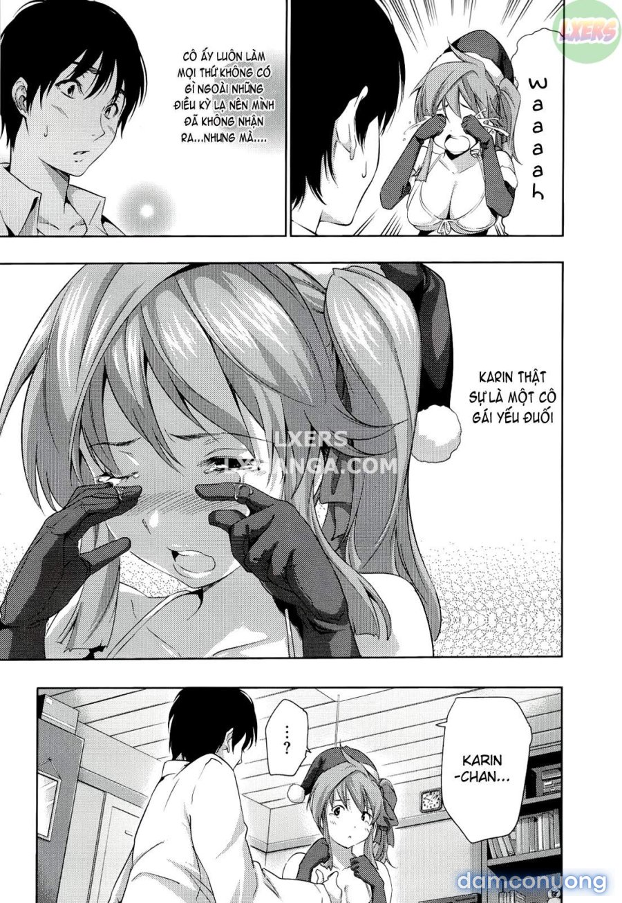 Harem Time 