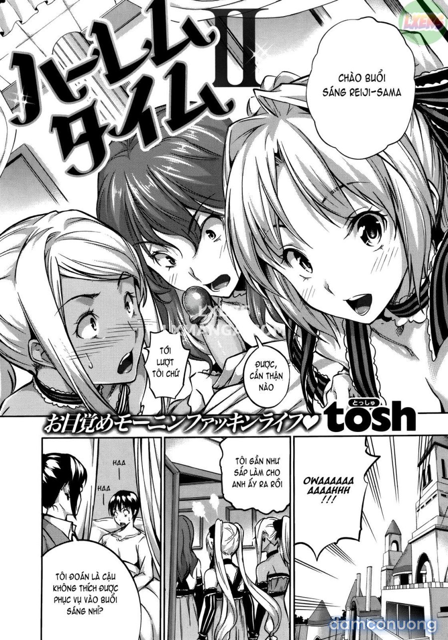 Harem Time 