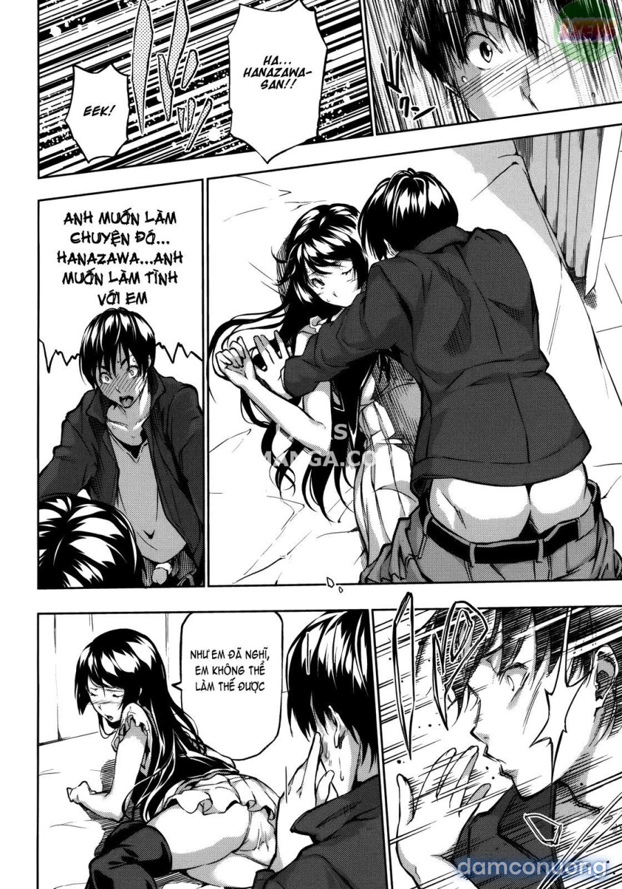 Harem Time 