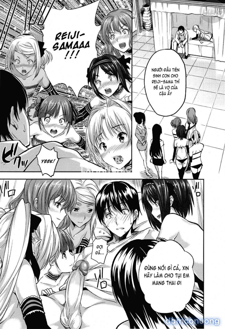 Harem Time 