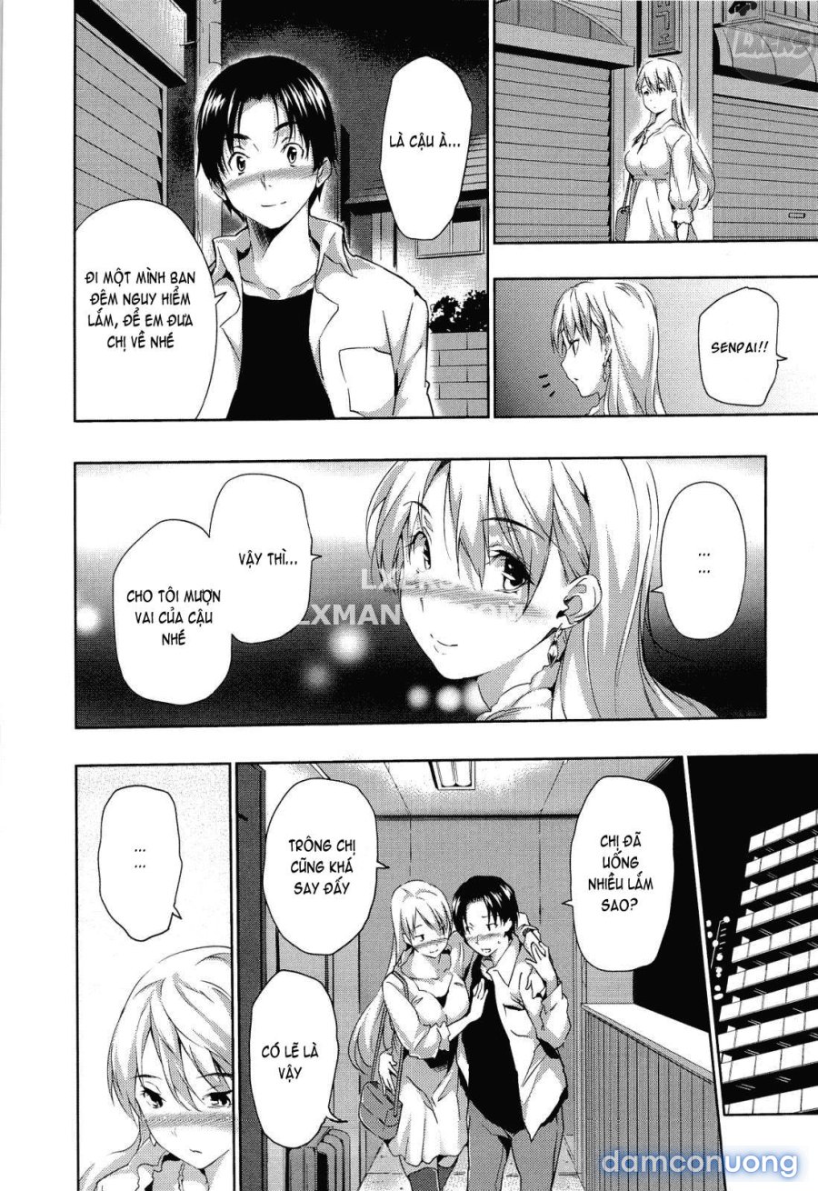 Harem Time 