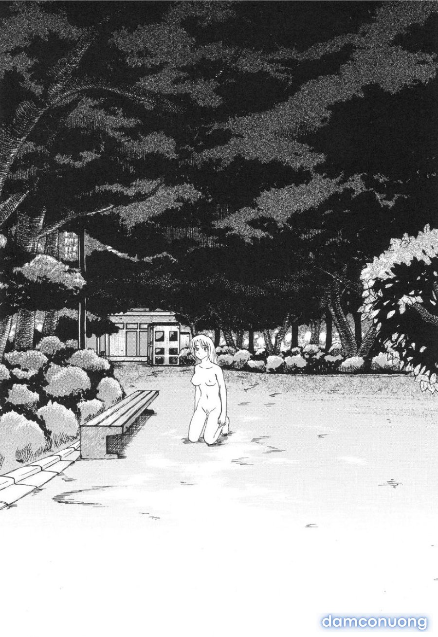 Nukarumi no Naka 
