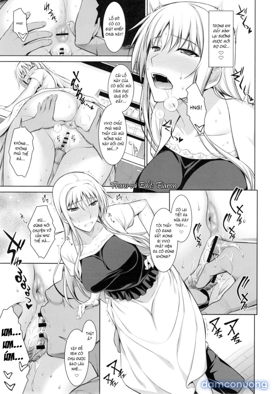 Mating Dance 