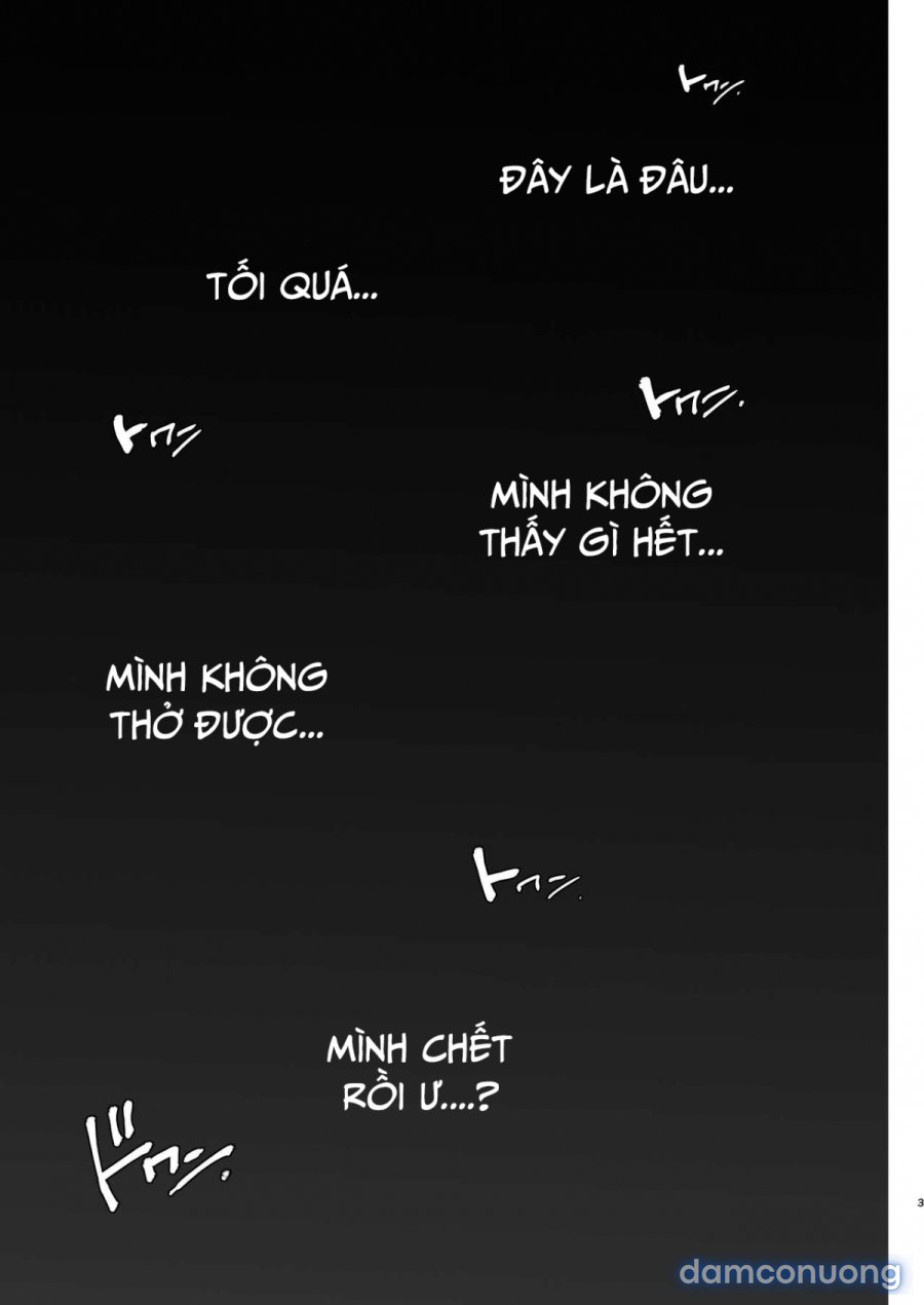 Kishi Danchou Kanrakusu 