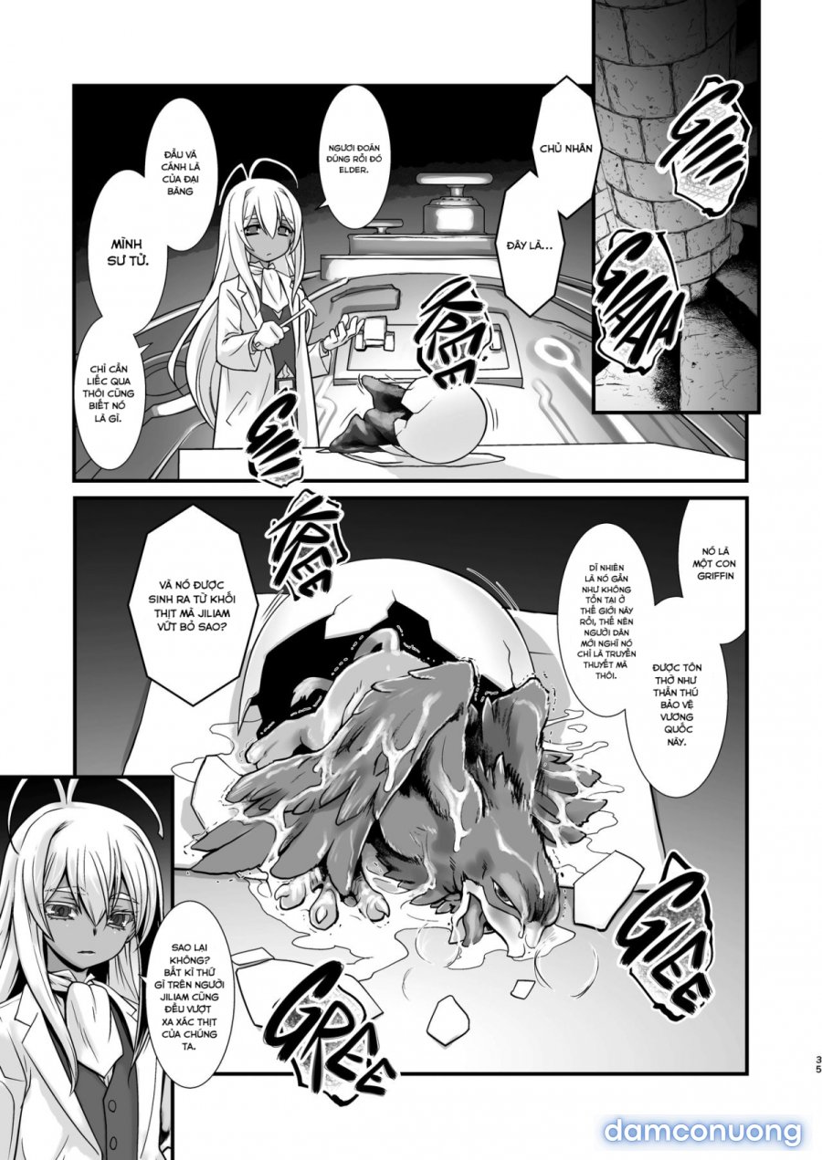 Kishi Danchou Kanrakusu 
