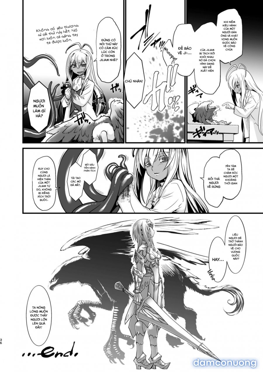 Kishi Danchou Kanrakusu 