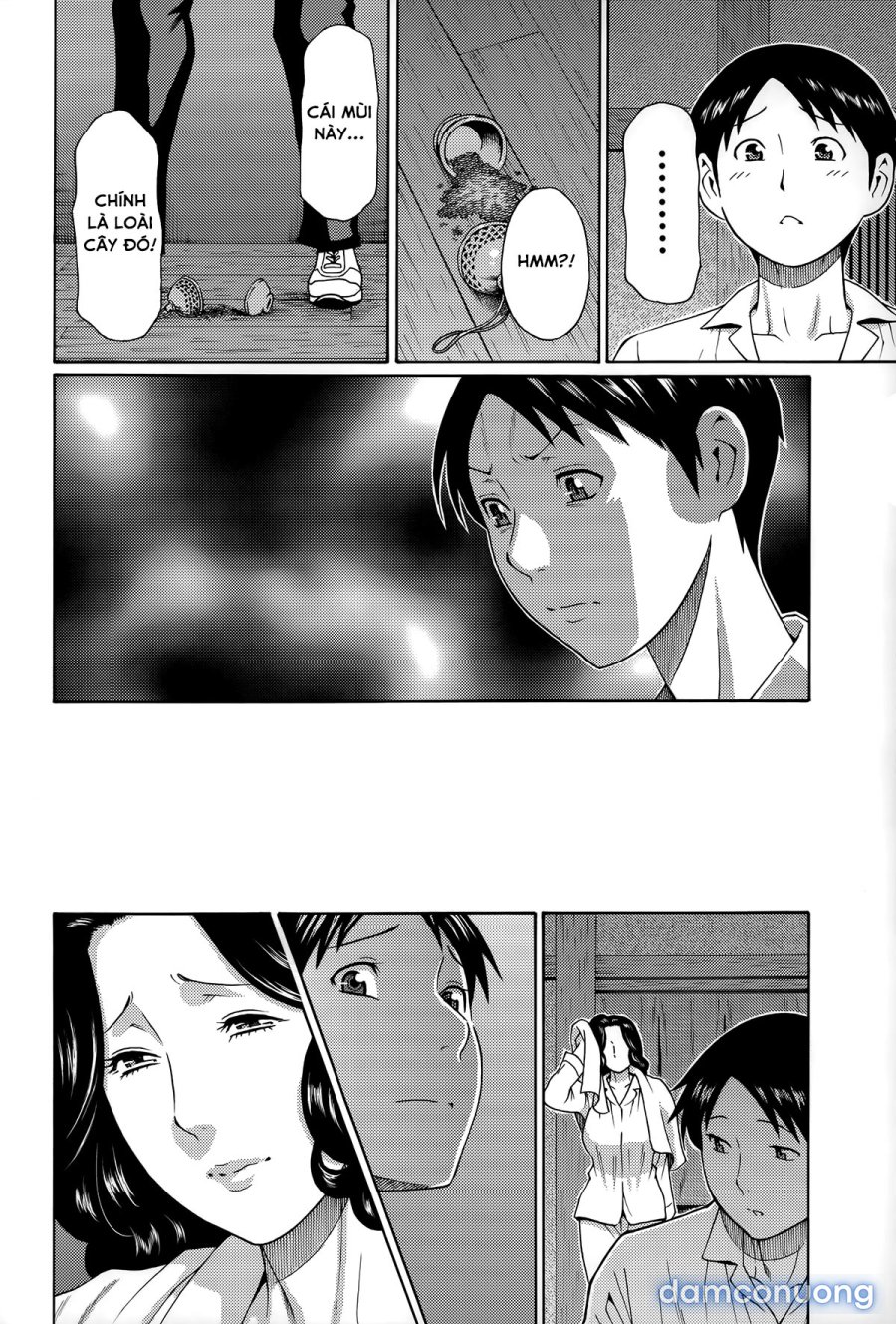 Mama to Sensei 