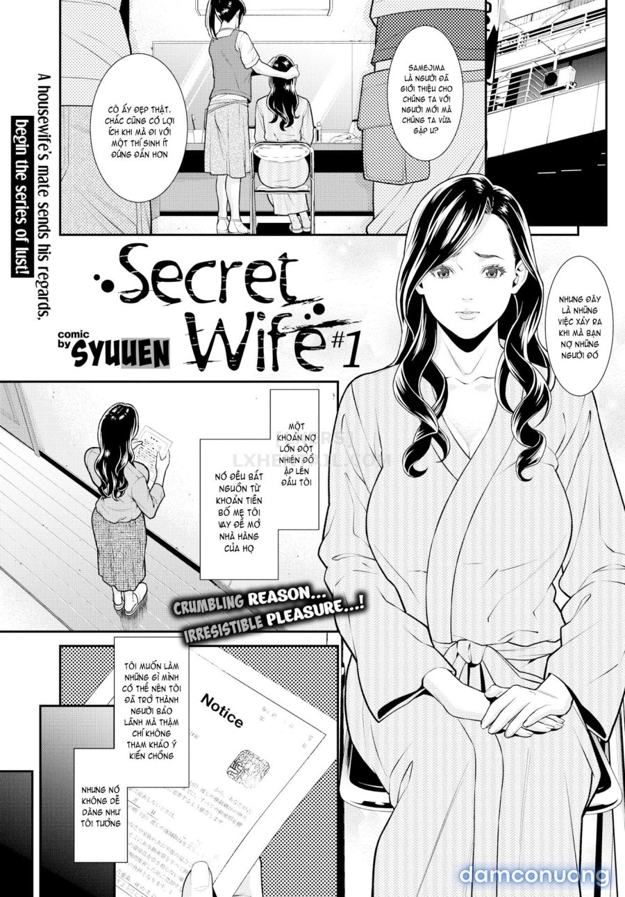 Hitozuma no Himitsu 