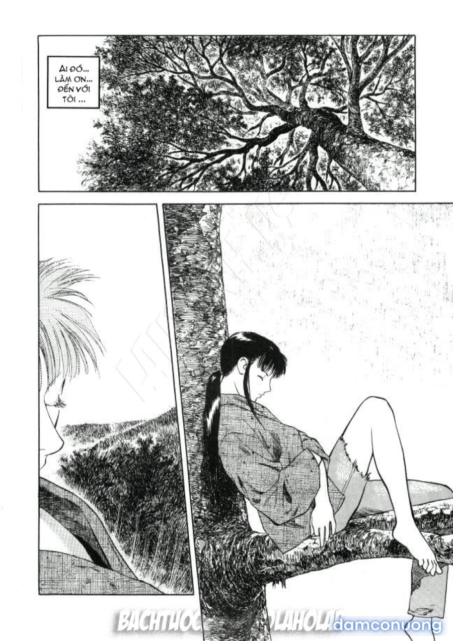 LUST 