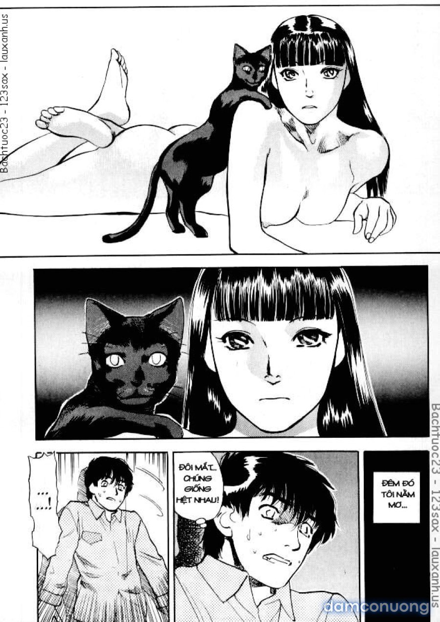 LUST 