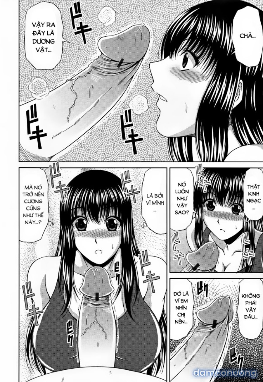 Lover's Time 