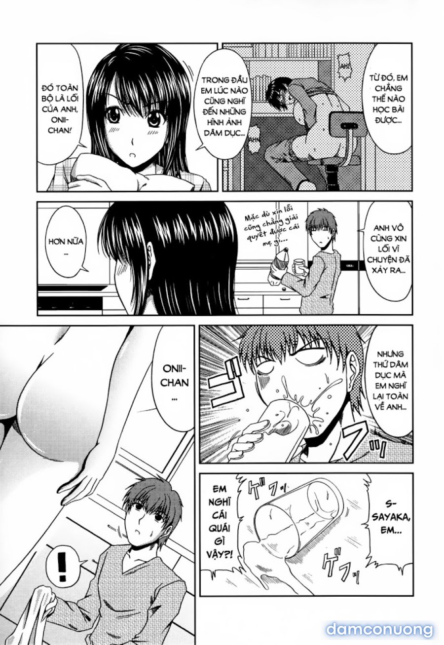 Lover's Time 