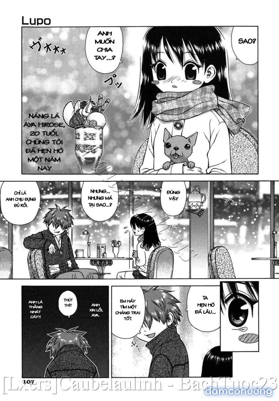 Lovers in Winters 