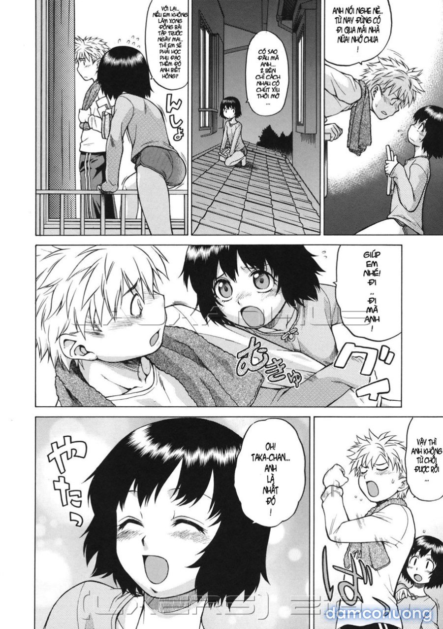 Little Lovers 
