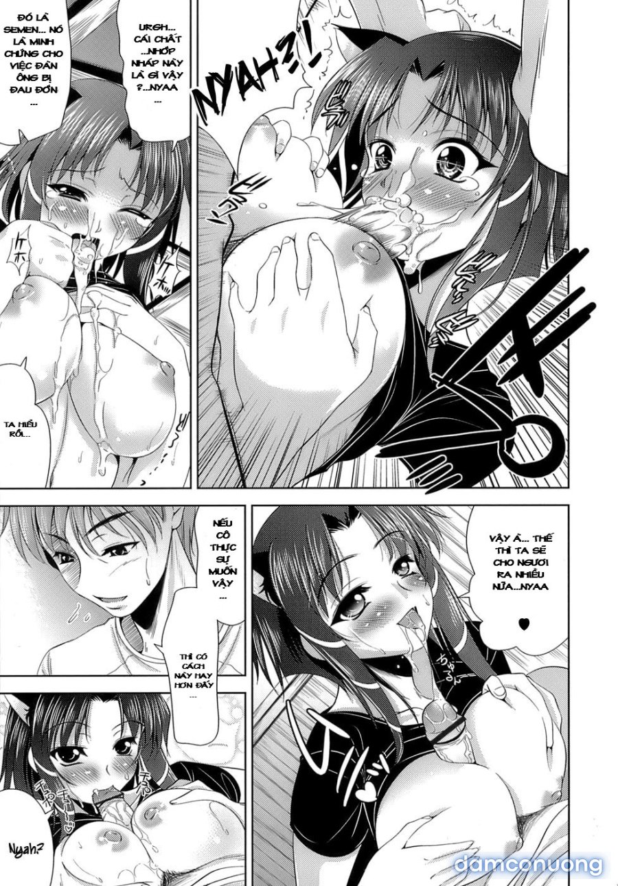 Let's Fall in Love like in an Ero-Manga 