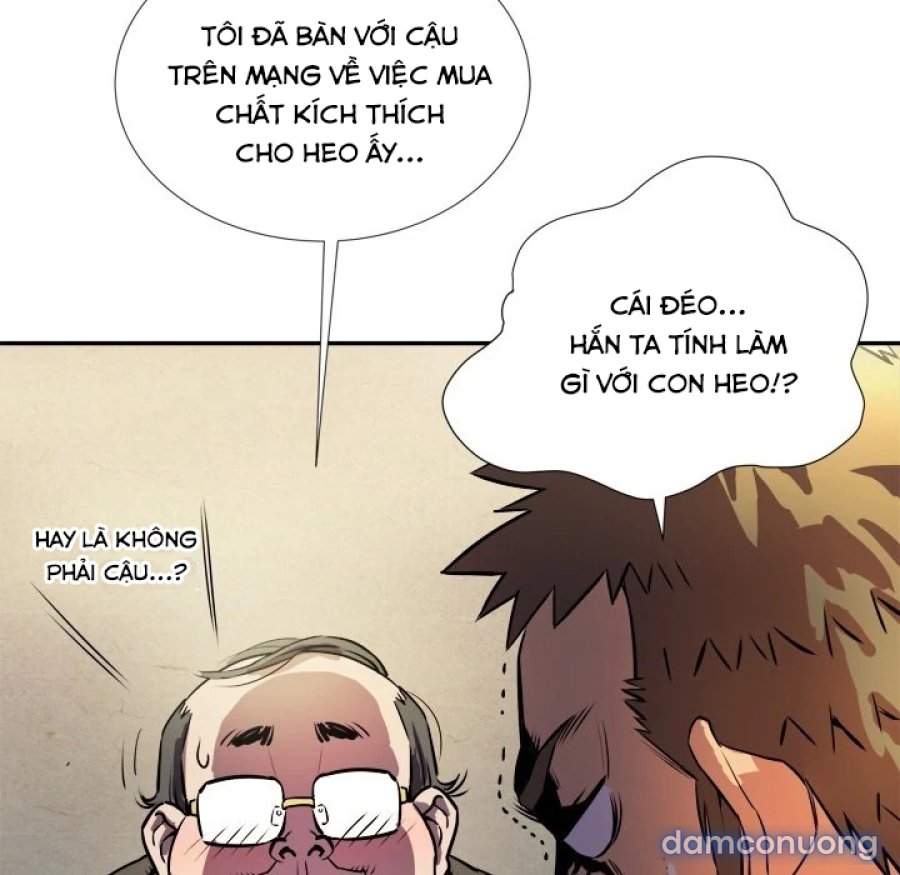 Đào Tạo Vợ 